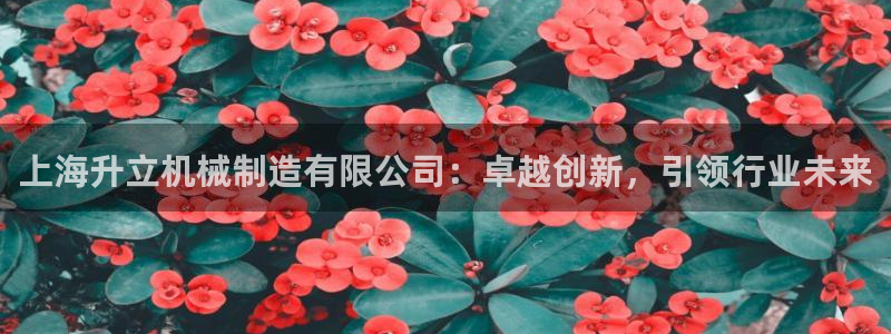 云顶国际取款取不出来