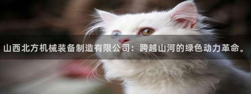 云顶集团是哪个国家的