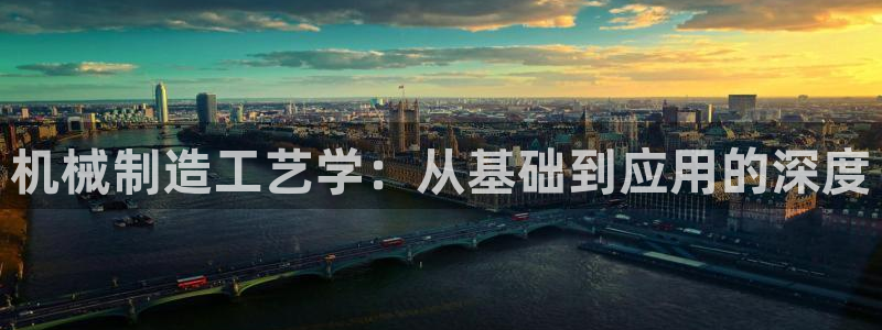 云顶集团王天才简介