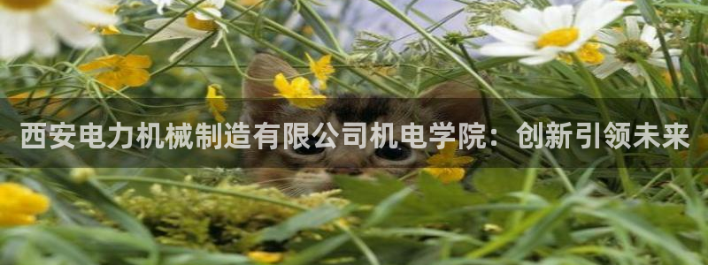 太原云顶国际酒店老板