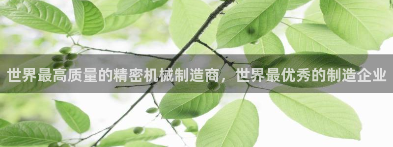 云顶国际服更新时间是多久