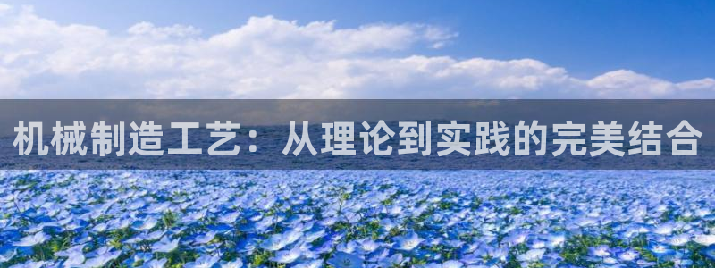 云顶国际城手机网址查询