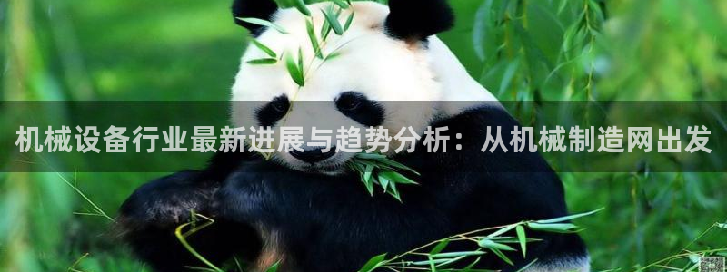 云顶集团中国公司