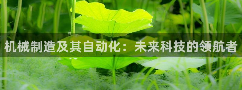 云顶集团网投领