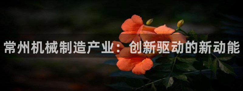 云顶国际服更新了吗