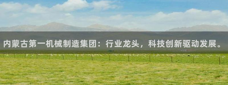 云顶集团公司简介