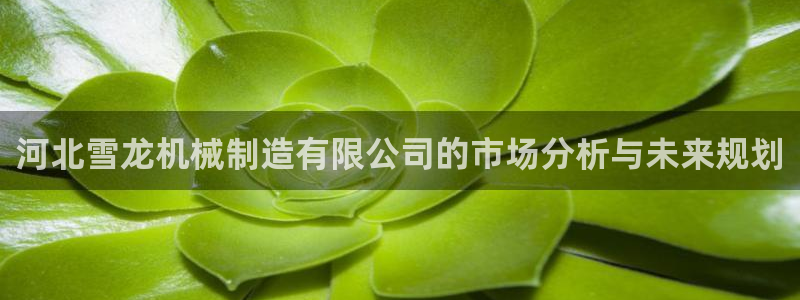 云顶国际app免费下载安卓