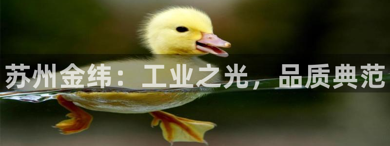 云顶国际电话号码查询