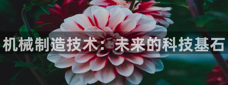 云顶国际大酒店的位置图