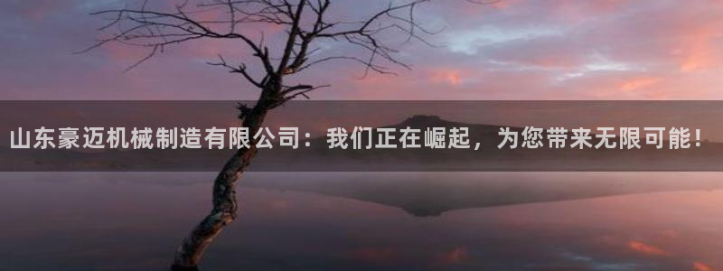 云顶集团网站多少钱一个