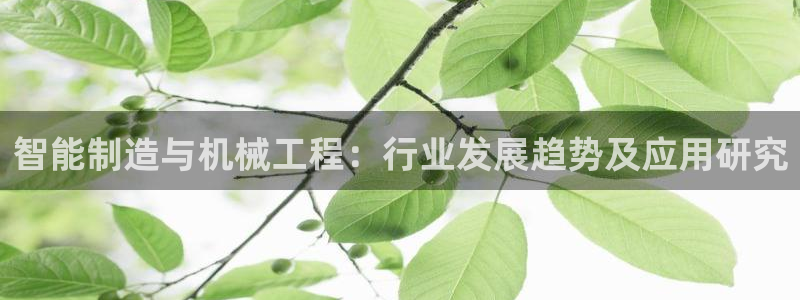 云顶国际麻将胡了几张牌