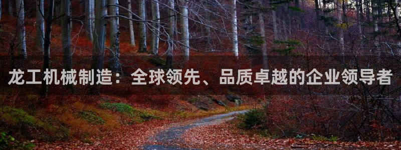 云顶国际服下载