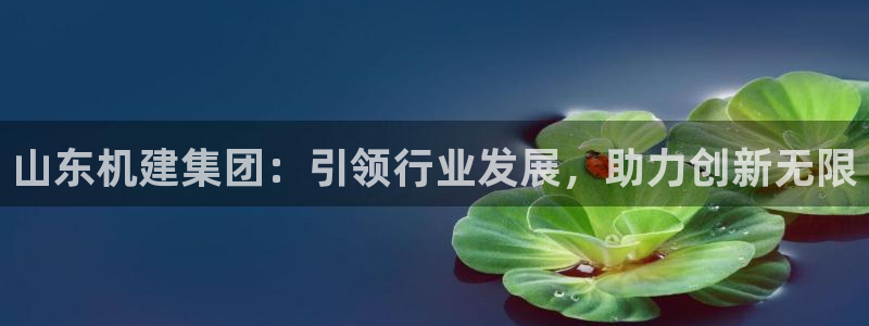 云顶国际怎么样