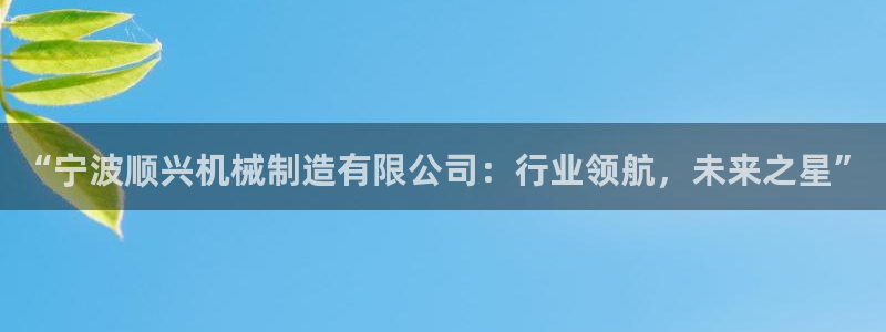 云顶国际服自定义