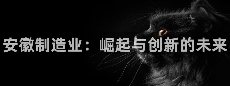 云顶集团网站app下载安装