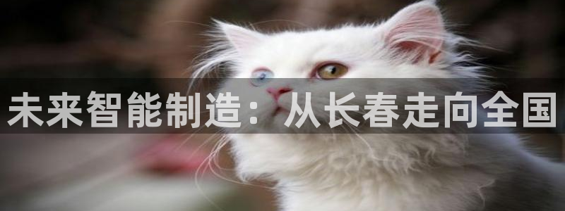 云顶国际app官方下载安卓