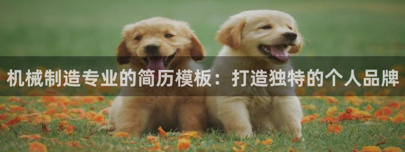 云顶国际服修改不了传说装备