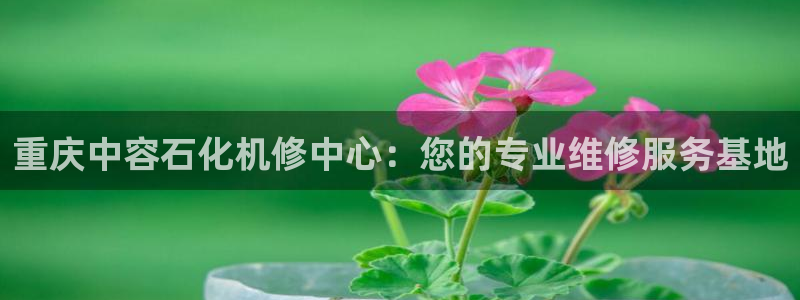 云顶集团有限公司简介概况