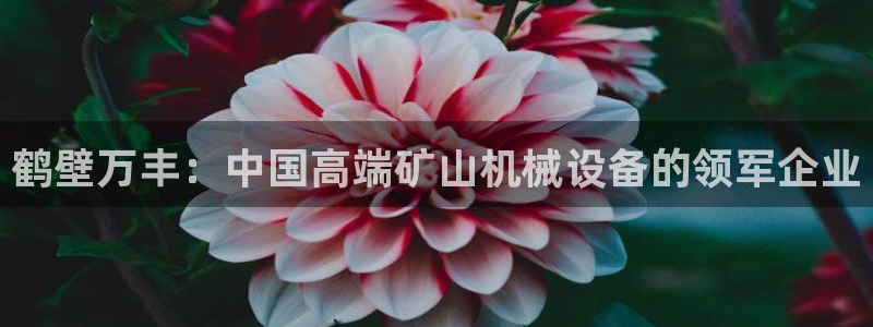 云顶国际旅行社官网