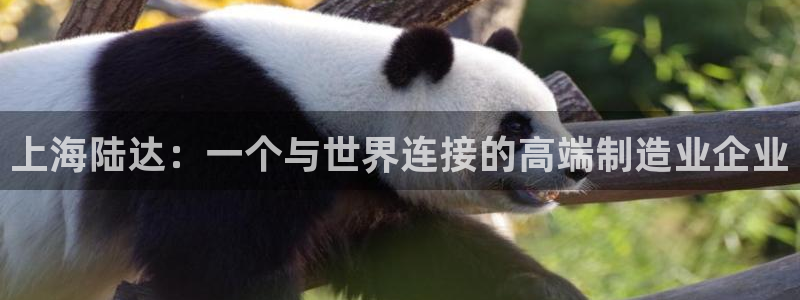 云顶国际威尼斯