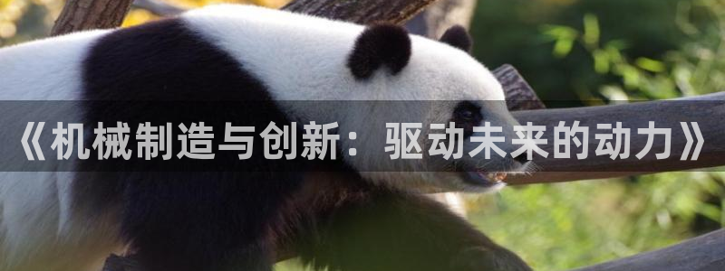 云顶国际高中学费多少钱一年