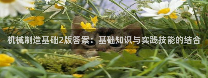 云顶国际创始人是谁