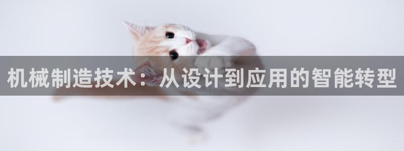 云顶国际官方网站入口