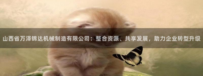 12311云顶线路检测