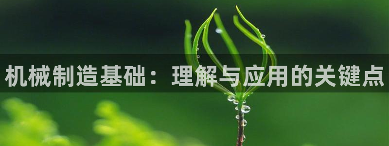 国际服端游云顶在哪下载