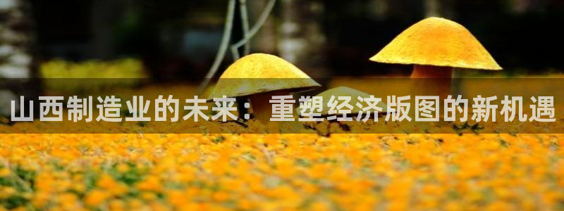 云顶集团专属APP9.0