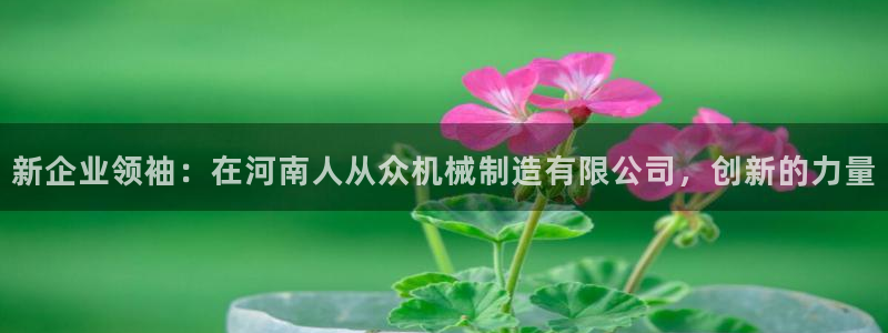 云顶国际pg网站