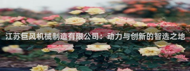 云顶国际服更新公告