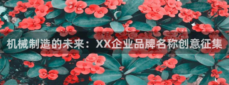云顶集团网站注册