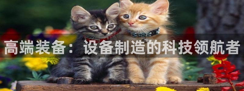 云顶国际电子注册平台官网