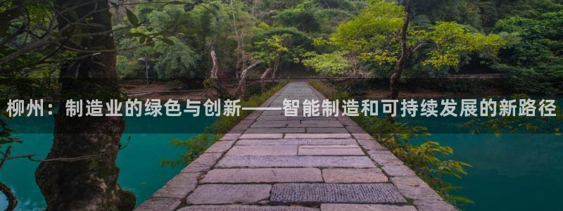 云顶集团有限公司简介概况