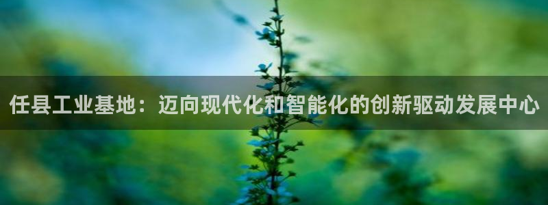 云顶国际网站合法吗
