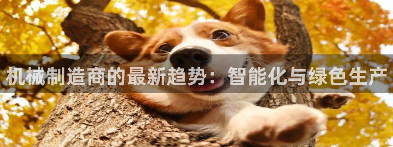 云顶国际公馆是公寓吗多少钱