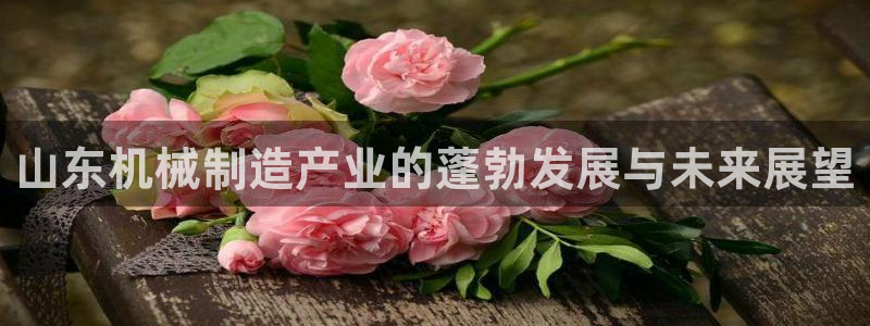 云顶集团中国公司