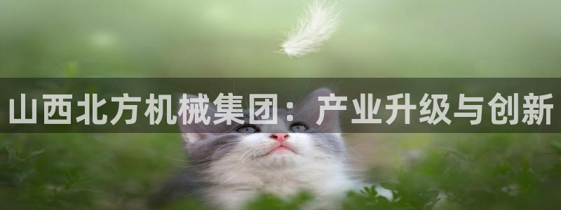 云顶网站官网