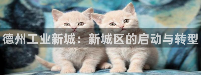 云顶集团官网登录入口网页版