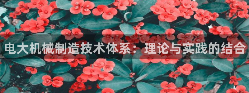 云顶官网网址