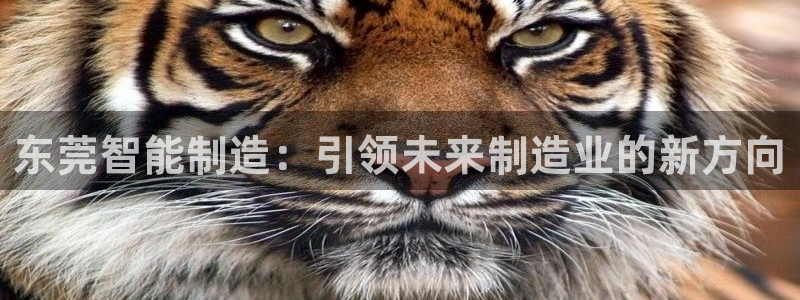 云顶官方