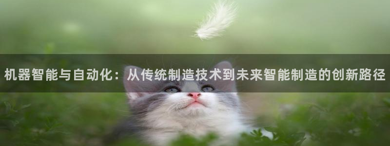 云顶国际服更新了吗