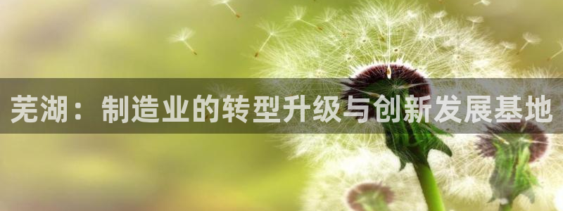 云顶集团中国区执行总裁是谁
